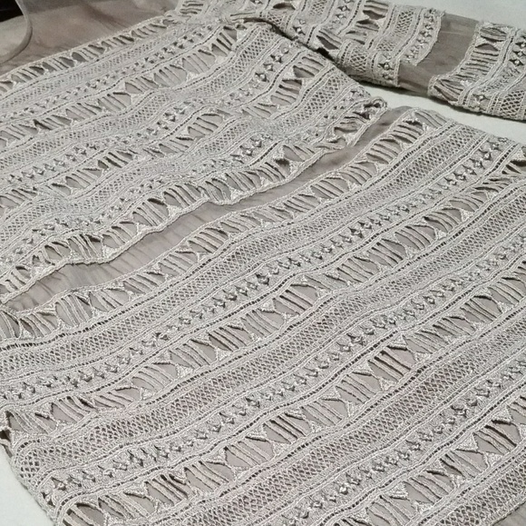 Dole Vita Lace Shift Sheer Dress - Picture 8 of 8